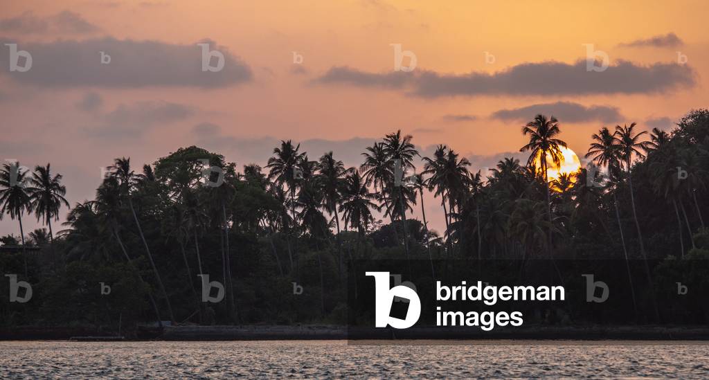 Sunset over palm fringed inland lagoon, Goa, India, September 2018 (photo)