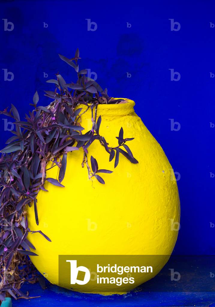 Jardin Majorelle Marrakech, Morocco, September 2018 (photo)