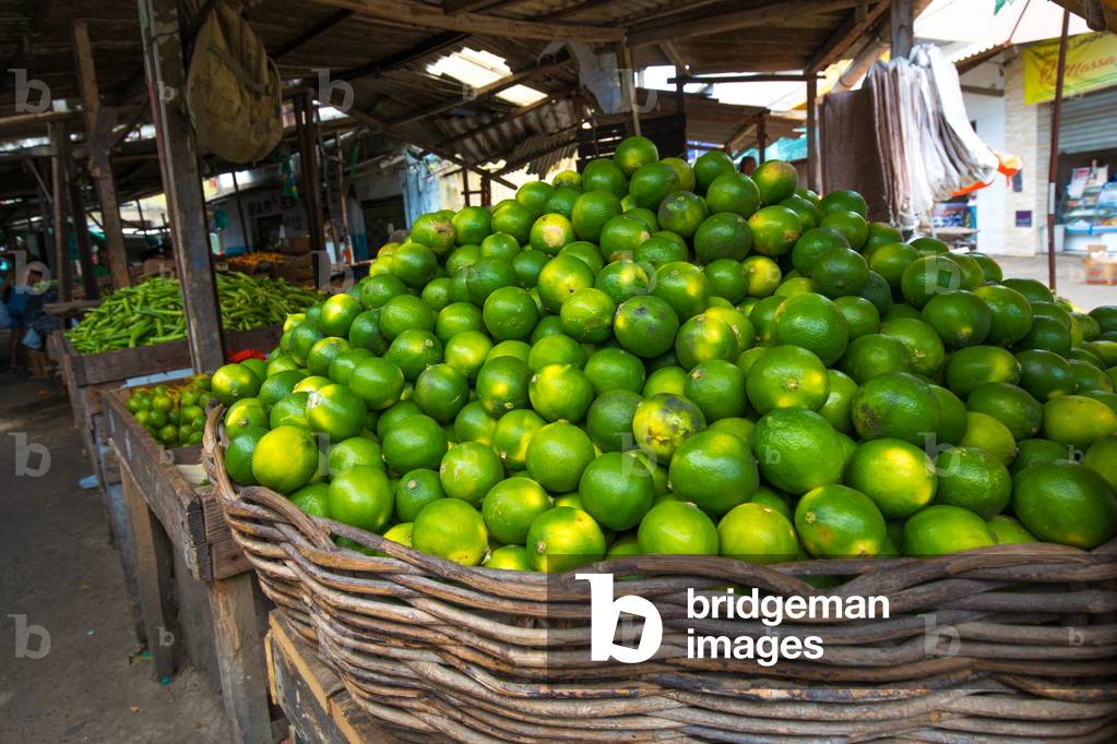 Limeson sale on market stall in São Joaquim Market, Salvador de Bahia, Brazil, March 2018 (photo)