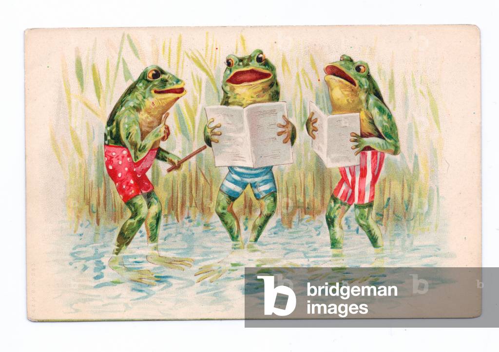Edwardian postcard of three frogs in a pond wearing swimming trunks and singing, c.1910 (colour litho)