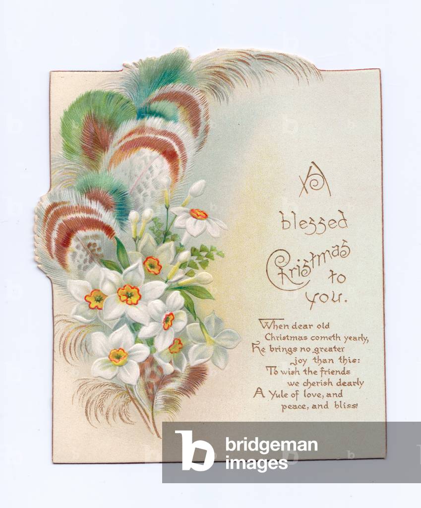 A Victorian die-cut shape Christmas card of plumage and white flowers, c.1880 (colour litho)