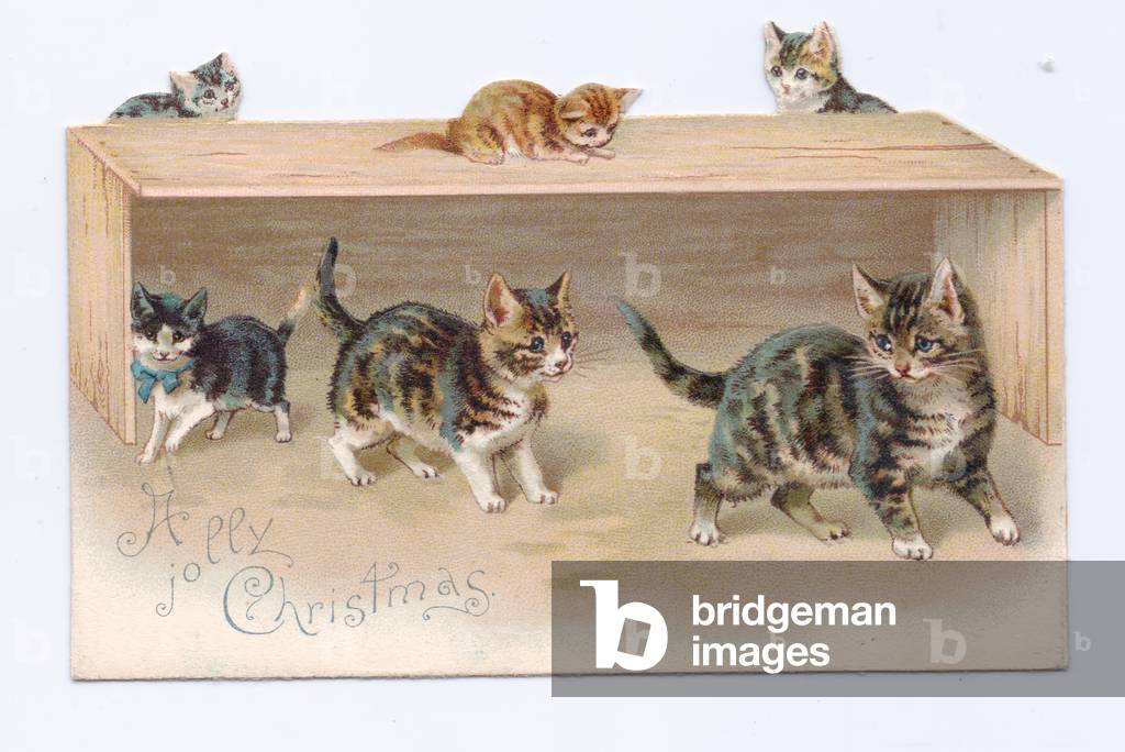 A Victorian Christmas card of kittens playing in a wooden box, c.1880 (colour litho)