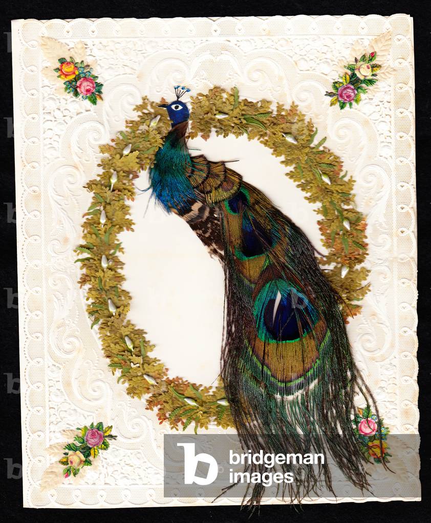 A Victorian paper lace Valentine card of a peacock with genuine peacock feathers, c.1870 (colour litho)