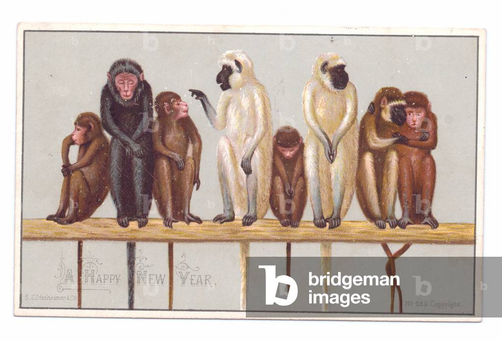 Victorian New Year card with eight monkeys on a ledge, c.1880 (colour litho)