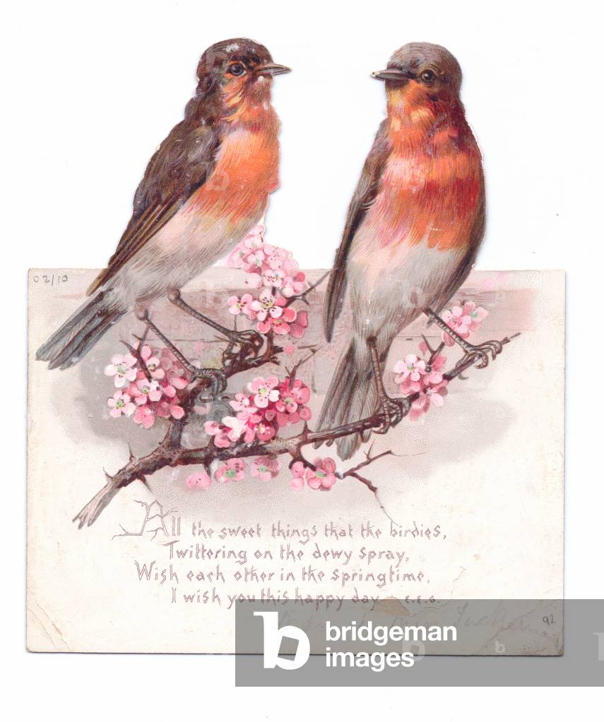 A Victorian die-cut shape card of two robbins perced on a branch of flowers, c.1880 (colour litho)
