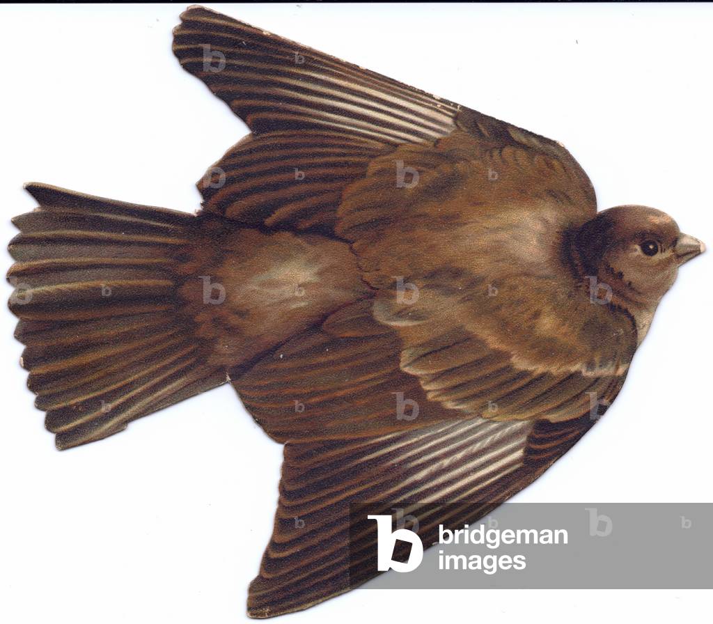 A Victorian die-cut shape card of a bird, c.1880 (colour litho)
