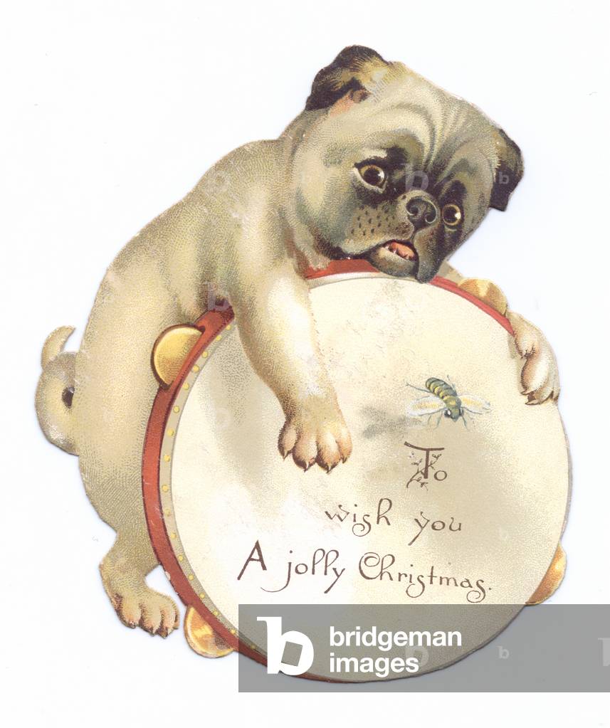 A Victorian Die-cut shape Christmas card of a bulldog with it's paws around a tambourine, c.1880 (colour litho)