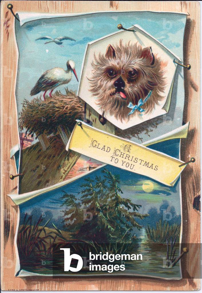 A Victorian Christmas card of a seagull, a puppy and a river on a moonlit night, c.1880 (colour litho)