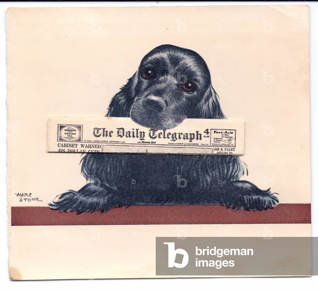 A greeting cards of a spaniel with a a newspaper in it's mouth, 1949 (colour litho)