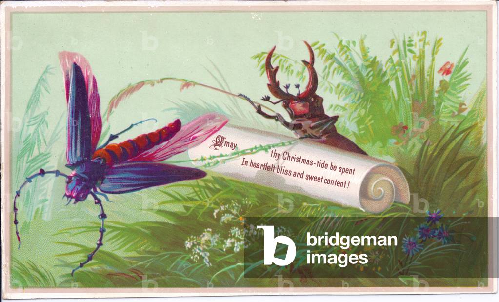 A Victorian Christmas card of an insect, stag beetle and scroll on which is a Christmas message, circa 1880 (coloured lithograph)