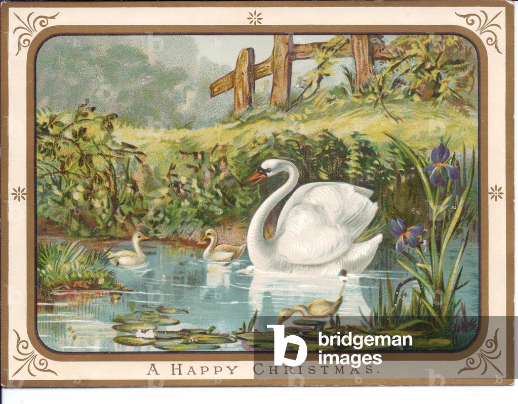 A Victorian Christmas card of a swan and cygnets on a pond, c.1880 (colour litho)