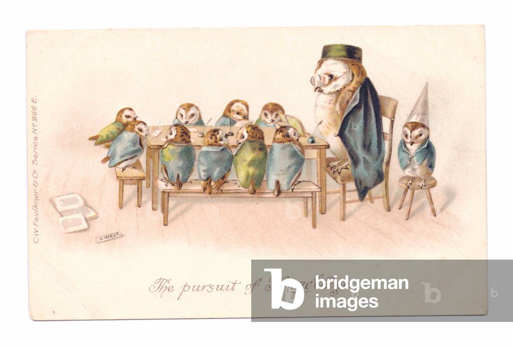 Edwardian postcard of owls dressed in human clothes in a classroom setting, c.1910 (colour litho)