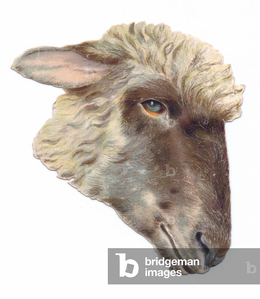 A Victorian die-cut shape card of a sheep, c.1880 (colour litho)