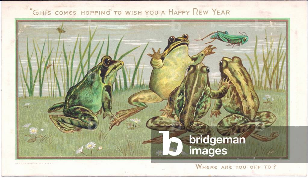 A Victorian New Year card of four frogs looking at a grass hopper flying away, c.1880 (colour litho)