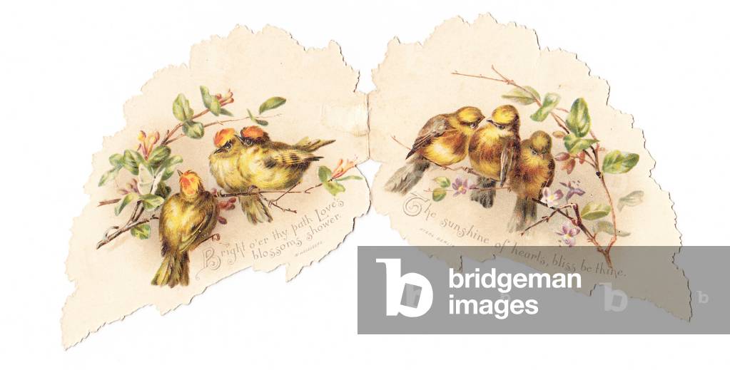 The inside of a Victorian die cut greeting card depicting yellowhammers perched on a branch, c 1880 (colour litho)