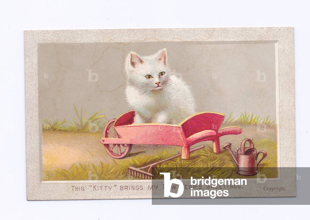 A Victorian New Year card of a white kitten in a pink wheelbarrow, c.1880 (colour litho)