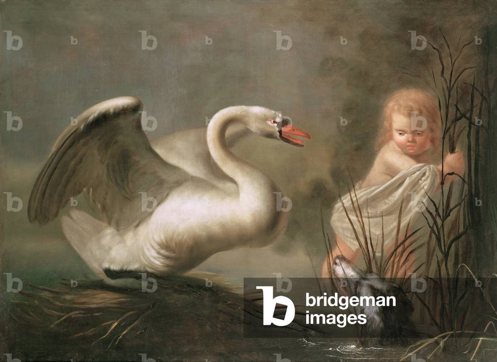 A Swan guarding its Nest from a Child and a Spaniel