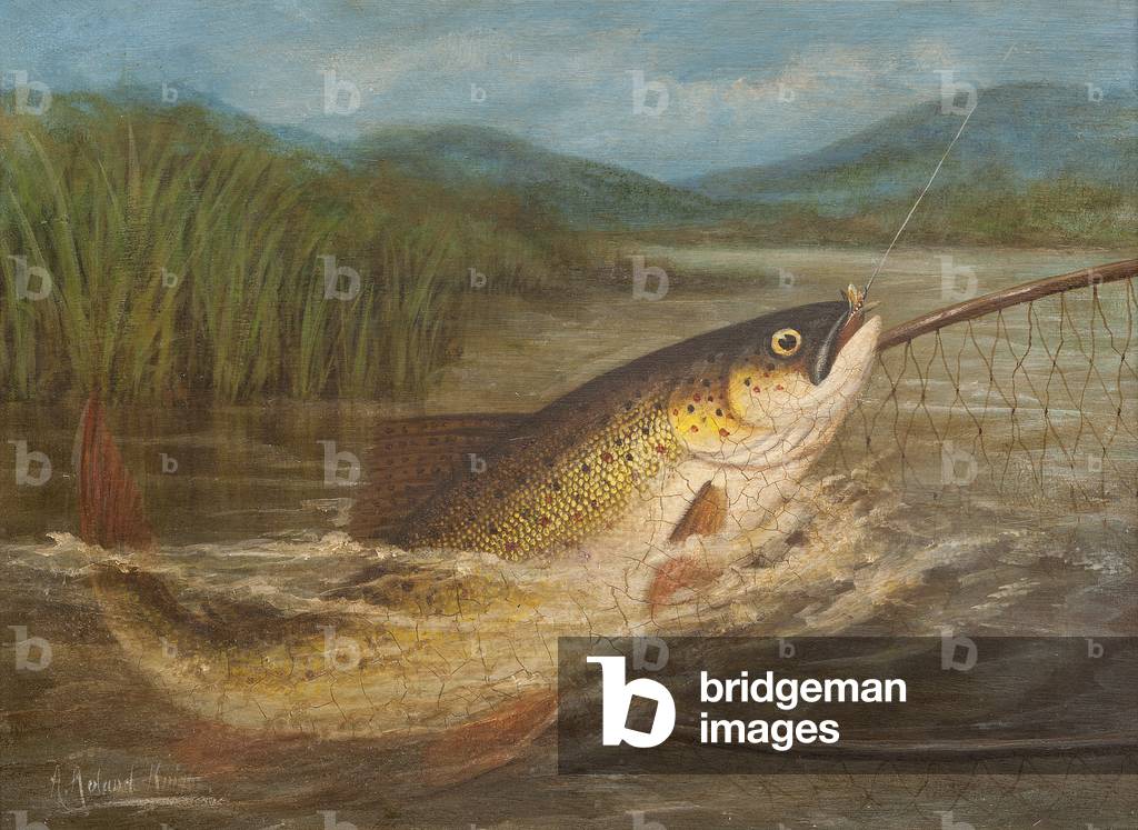 The fly fisherman's net (oil on card)