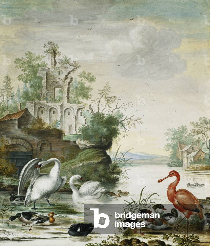 Swans, a Spoonbill, a Mallard, a Wigeon and Other Ducks on a River Below a Ruin, 1694 (bodycolour, on vellum)