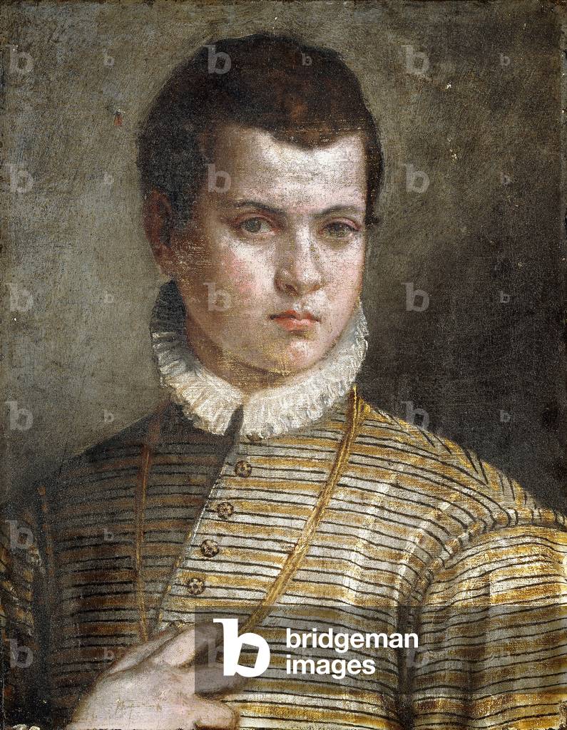 Portrait of a Young Man, bust-length, Wearing a Striped Costume and a White Ruff,  (oil on canvas)