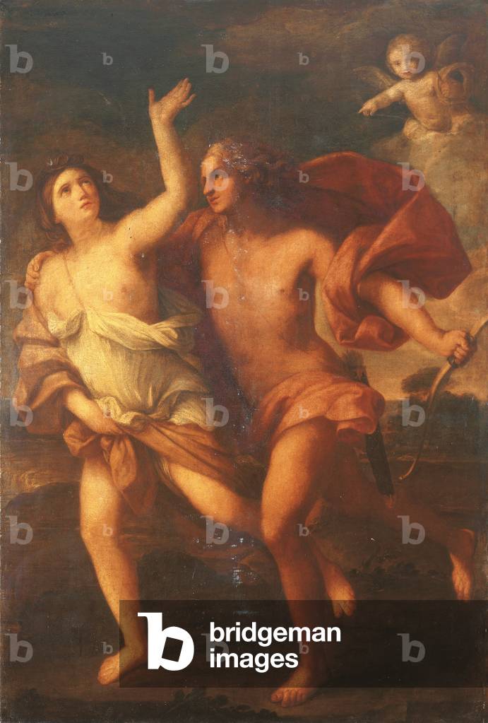 Daphne e Apollo (olio su tela)