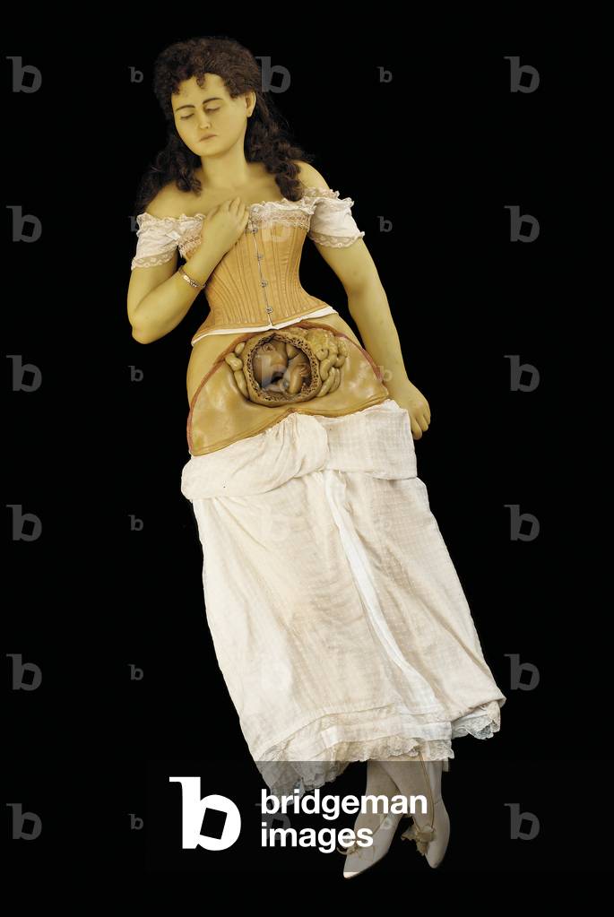 Anatomical model of a pregnant woman (wax & textiles)