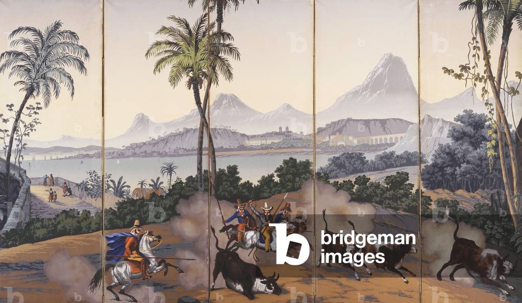 Vues de Bresil, c.1829-35 (woodblock print in colours)