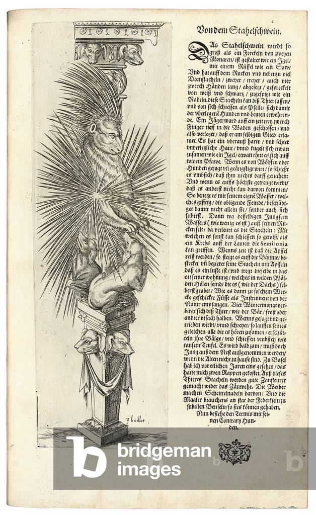 Column decorated with an Animal Form, 1604 (engraving)