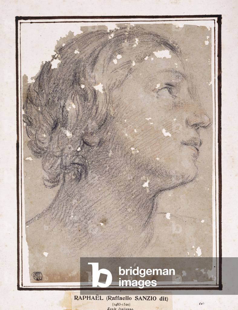 The Head of a Woman, in profile to the right,  (black, white and red chalk on green-blue paper)
