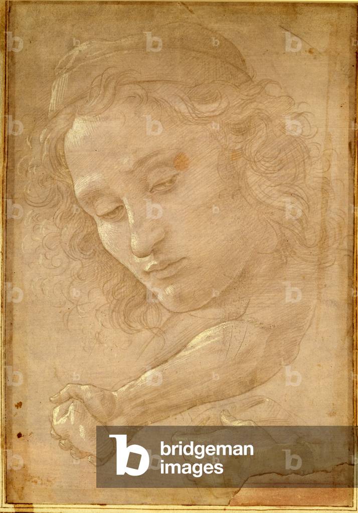 Head of a youth, drawing from a page of 'Libro dei Desegni' by Georgio Vasari (1511-74) mounted and framed after 1524 (metalpoint on paper) (detail of 36660)