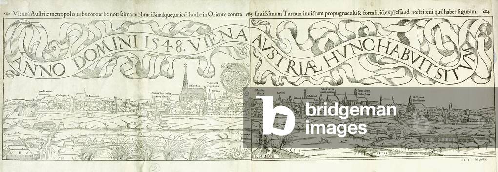 Town View of Vienna in 1548, 1550 (woodcut)