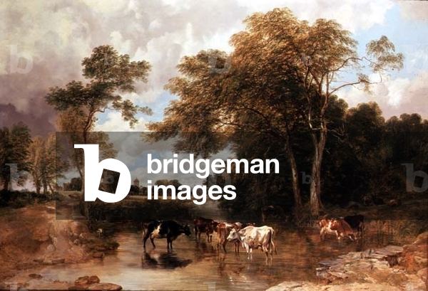 Wooded River Landscape
