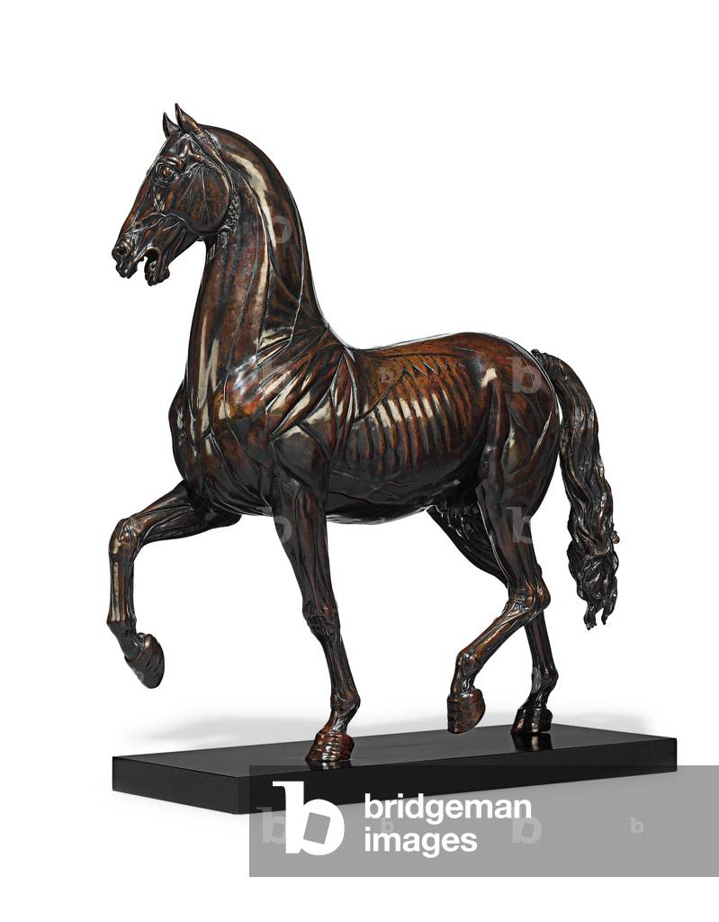 Model of an ecorche horse, after the Mattei Horse of the 1580s, late 18th-early 19th century (bronze)