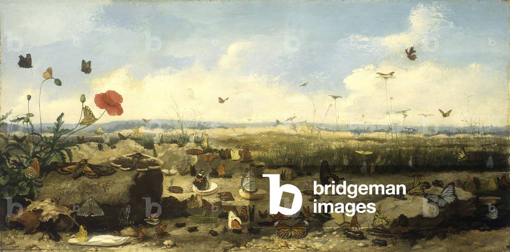 The Race of the Butterflies, 1872 (oil on panel)