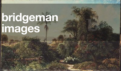 Cuban Landscape (oil on canvas)