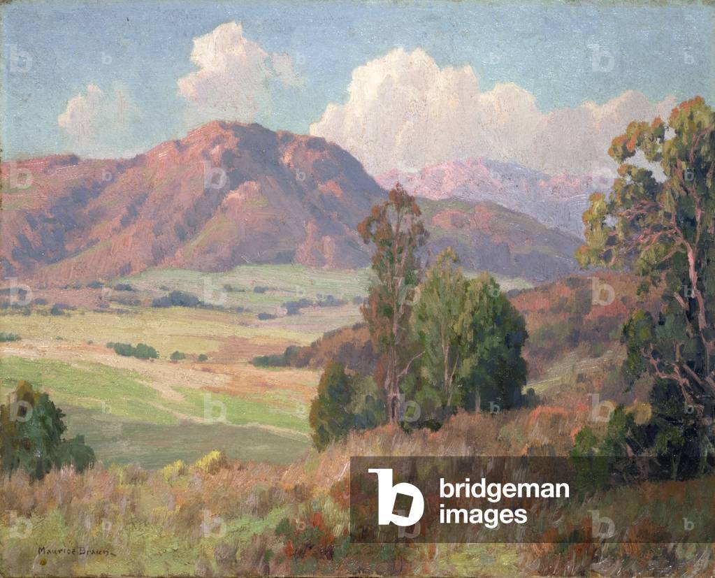 San Diego Hills (oil on canvas)