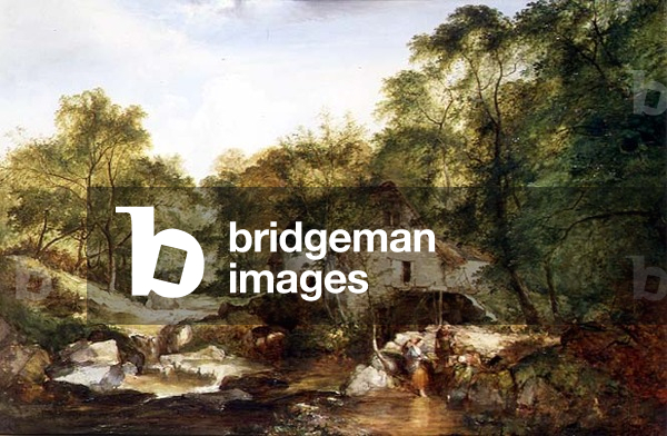 A Wooded river landscape