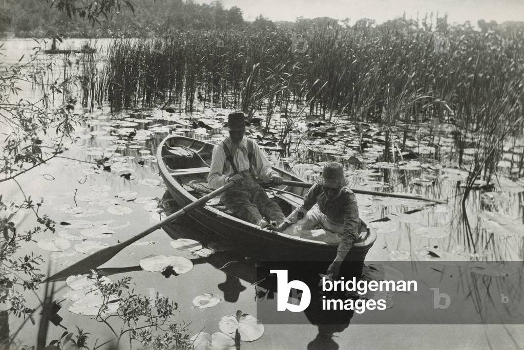 One of forty platinum prints from 'Life and Landscape on the Norfolk Broads', 1886 (platinum print)