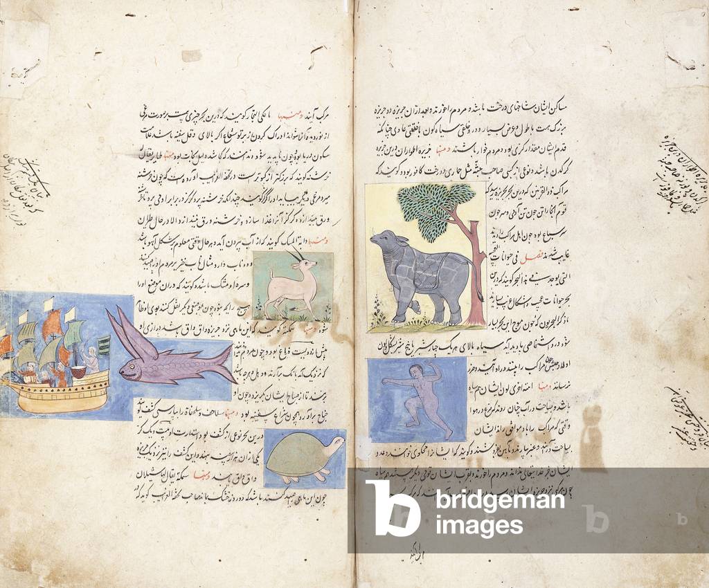 A page from the Persian manuscript 'Aja'ib al-Makhluqat wa Ghara'ib al-Maujudat (Marvels of Creatures and Strange Things Existing)', c. 1568-9 ; late 17th - early 18th century (illuminated manuscript)
