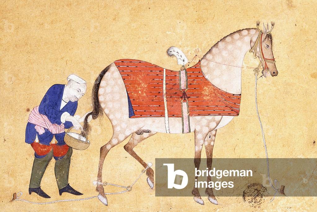 A Groom with a Horse, 1694 (gouache and gold paint on paper)
