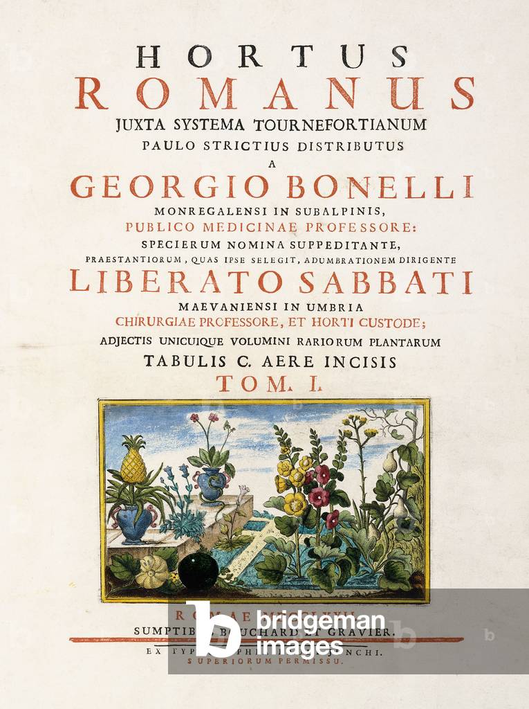 Title Page from 'Hortus Romanus', 1772-1784 (hand-coloured engraving)