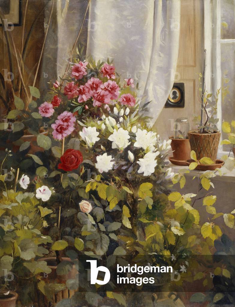 Azaleas, Geraniums, Roses and other Potted Plants by a Window, 1888 (oil on canvas)
