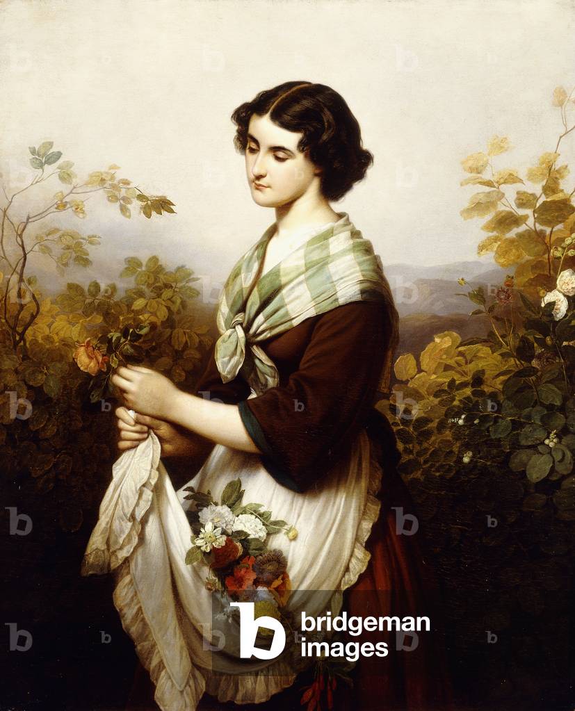 The Last Rose; La Derniere Rose, 1865 (oil on canvas)