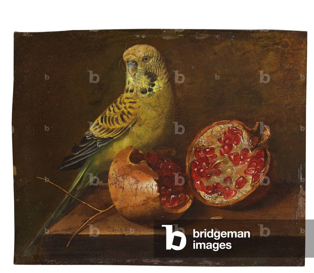 A parakeet and a pomegranate on a ledge (oil on copper)