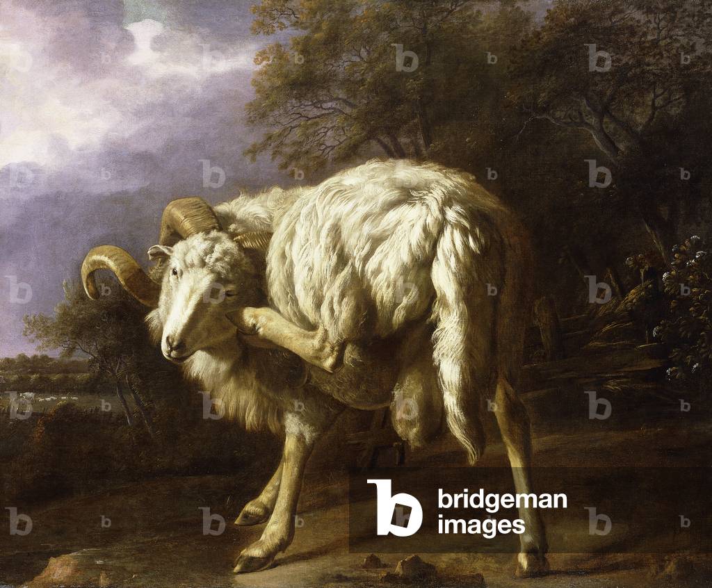 A Ram in a Wooded Landscape,  (oil on canvas)