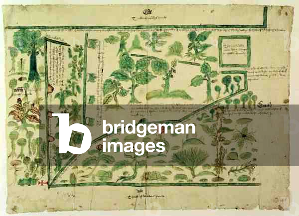 Map Showing Part of the Manor of Shawe, Berkshire, England (ink and w/c on vellum)