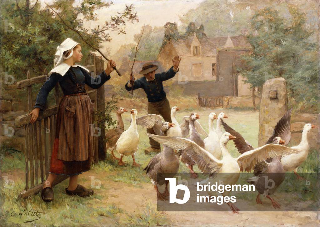 Guiding the Gaggle,  (oil on canvas)
