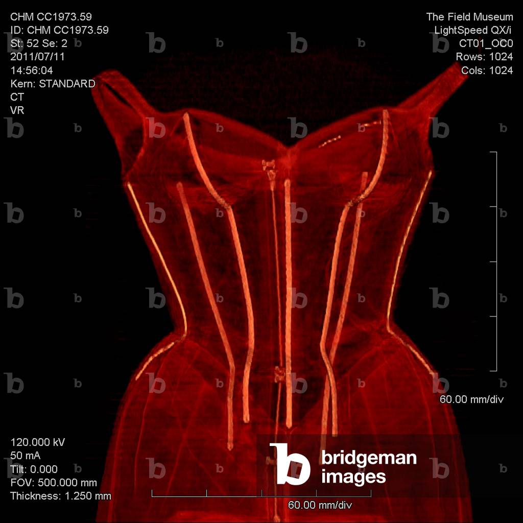 CT scan of Tree evening dress (partial view), Silk taffeta, Charles James, New York