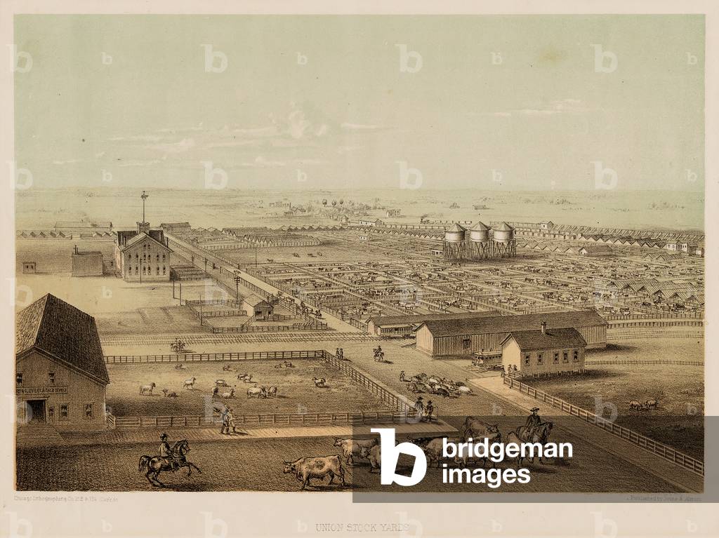 Union Stock Yard, Chicago, Illinois, 1865 (colour litho)