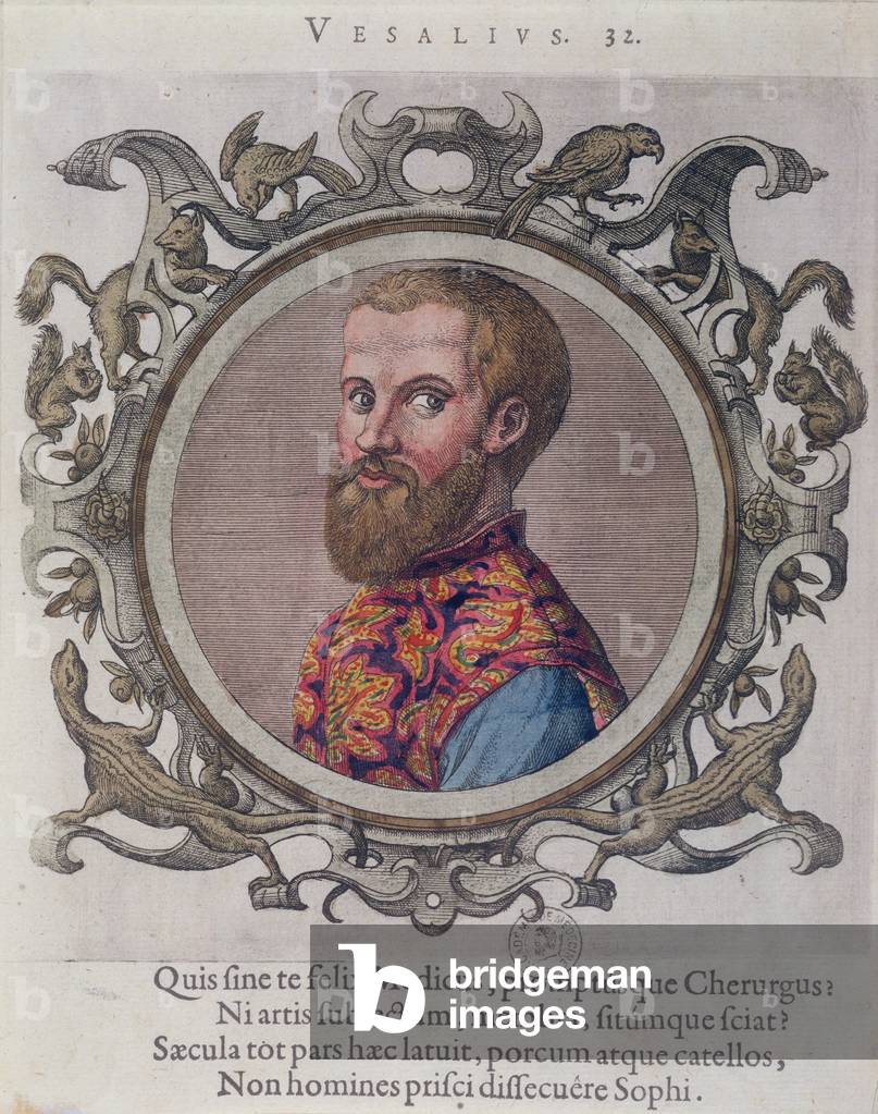 Portrait of Andreas Vesalius (1514-64) from 'Receuil des Portraits de Medecins' by the Hungarian doctor, Sambucus, 1574 (coloured engraving)